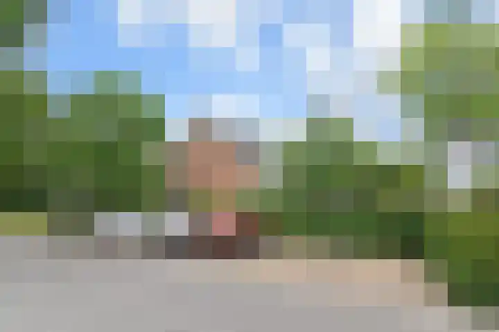 Tilanussingel 11 Pijnacker thumbnail 37