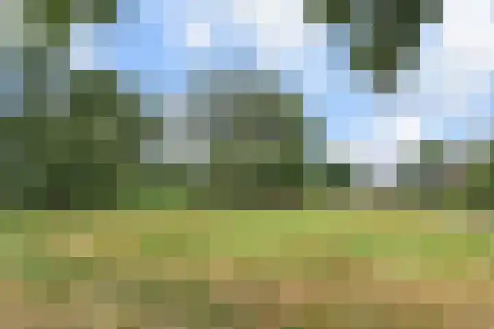Tilanussingel 11 Pijnacker thumbnail 39