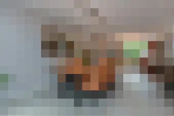 Tilanussingel 13 Pijnacker thumbnail 12