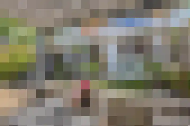 Tilanussingel 13 Pijnacker thumbnail 17