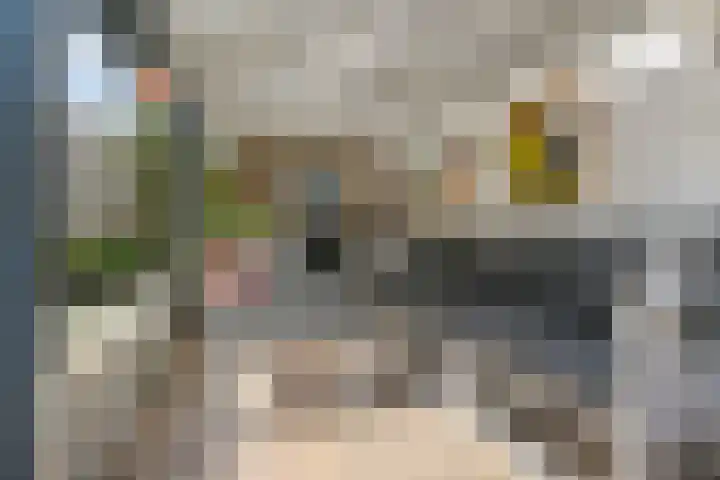 Tilanussingel 13 Pijnacker thumbnail 19
