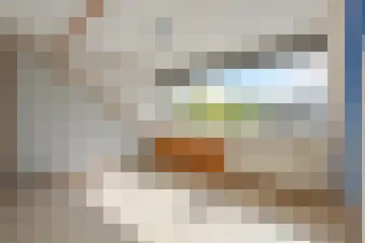 Tilanussingel 13 Pijnacker thumbnail 29