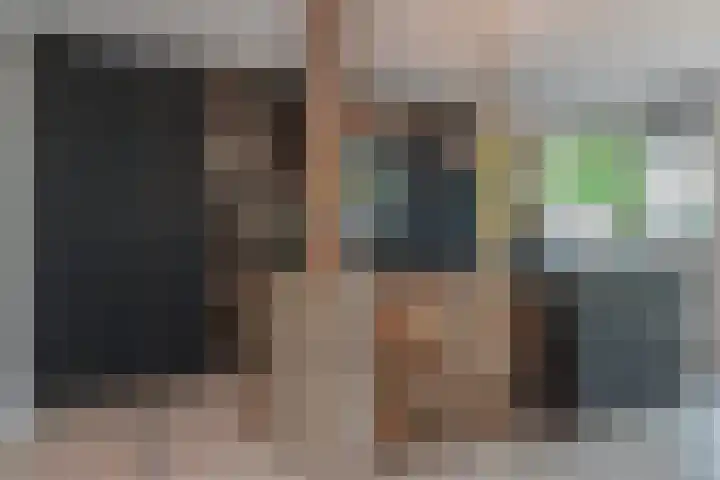 Tilanussingel 13 Pijnacker thumbnail 9