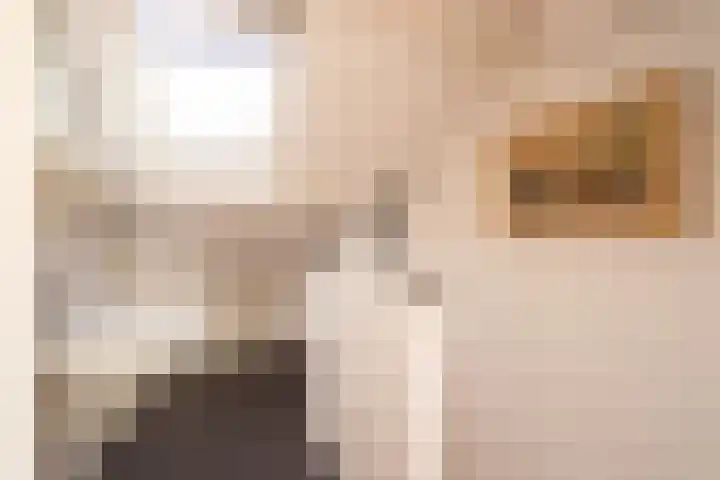 Tilanussingel 3 Pijnacker thumbnail 19