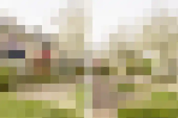 Tilanussingel 3 Pijnacker thumbnail 22