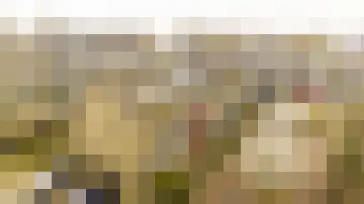Tilanussingel 3 Pijnacker thumbnail 23