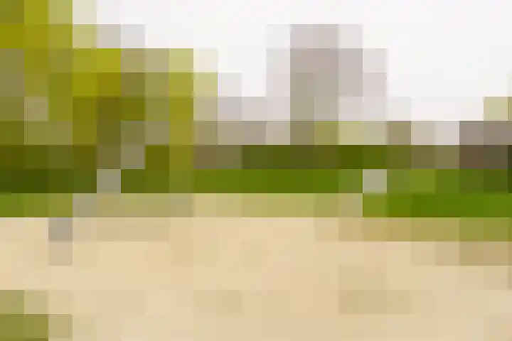 Tilanussingel 3 Pijnacker thumbnail 26
