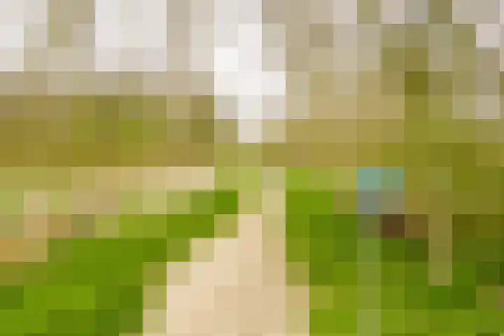 Tilanussingel 3 Pijnacker thumbnail 27