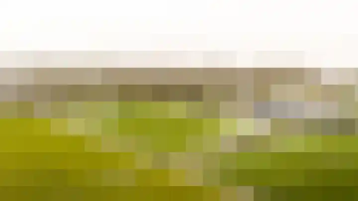 Tilanussingel 3 Pijnacker thumbnail 28