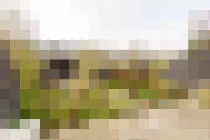 Tilanussingel 3 Pijnacker thumbnail 9