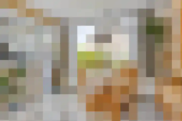 Tilanussingel 35 Pijnacker thumbnail 10