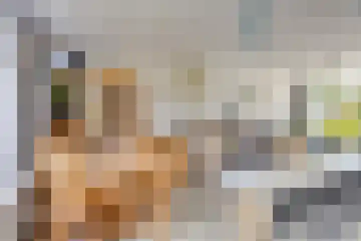Tilanussingel 35 Pijnacker thumbnail 13