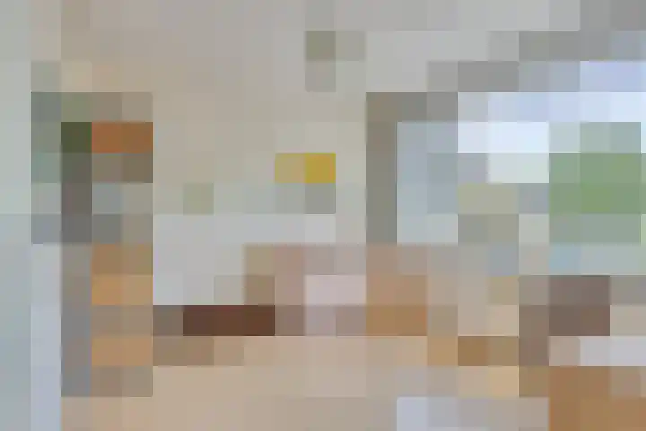 Tilanussingel 35 Pijnacker thumbnail 16