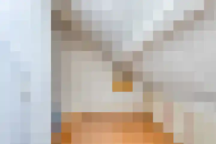 Tilanussingel 35 Pijnacker thumbnail 21