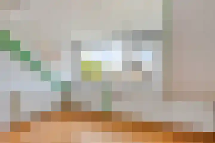 Tilanussingel 35 Pijnacker thumbnail 23