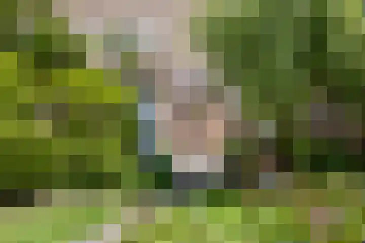 Tilanussingel 35 Pijnacker thumbnail 26