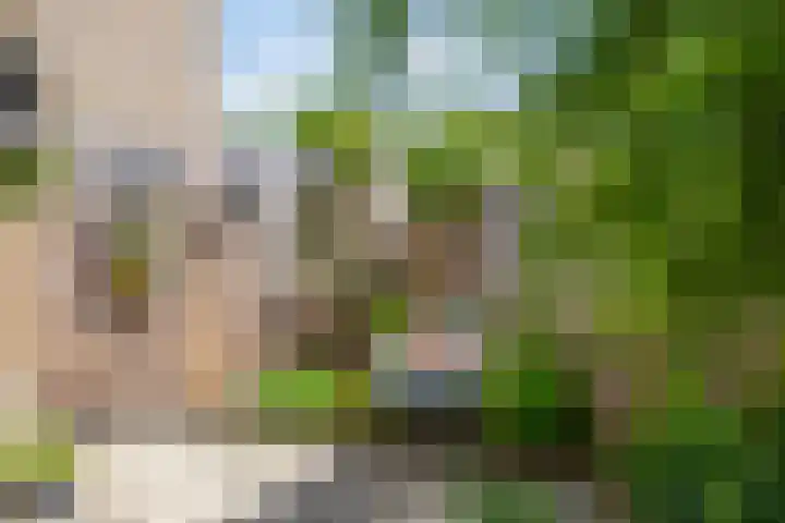 Tilanussingel 35 Pijnacker thumbnail 27