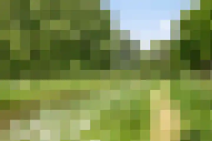Tilanussingel 35 Pijnacker thumbnail 28