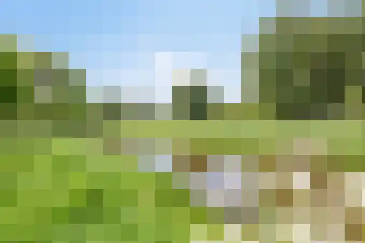 Tilanussingel 35 Pijnacker thumbnail 29
