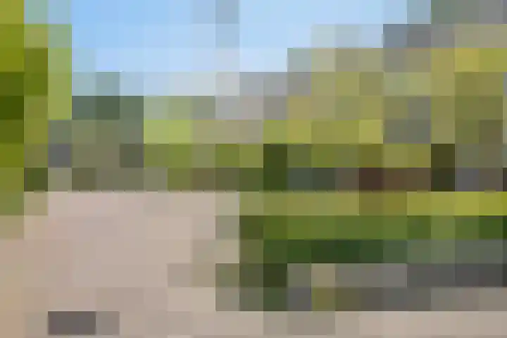 Tilanussingel 35 Pijnacker thumbnail 30
