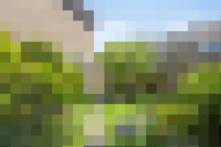 Tilanussingel 35 Pijnacker thumbnail 5