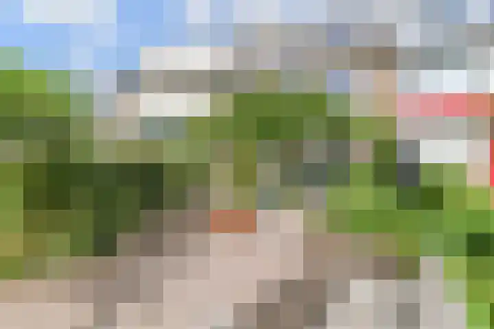 Tilanussingel 5 Pijnacker thumbnail 14
