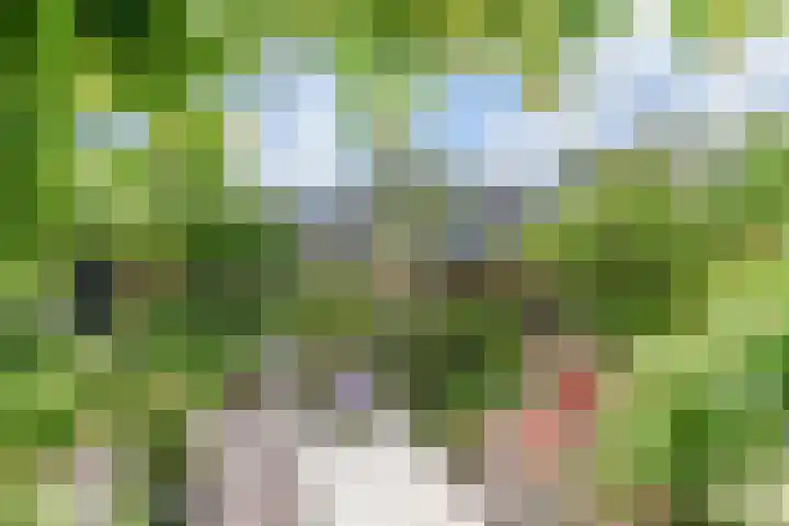 Tilanussingel 5 Pijnacker thumbnail 17