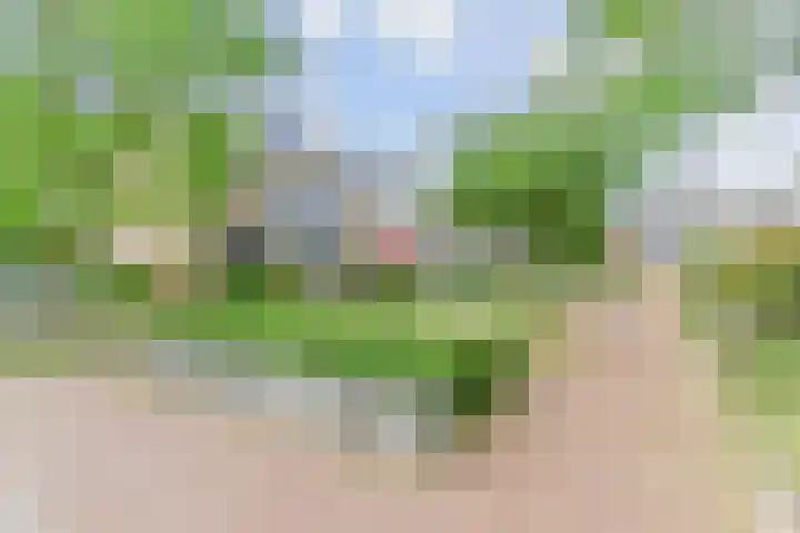 Tilanussingel 5 Pijnacker thumbnail 39