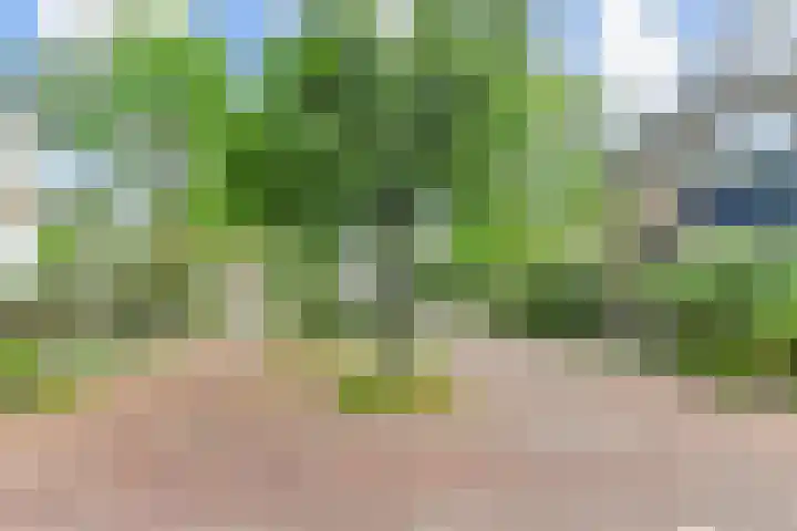 Tilanussingel 5 Pijnacker thumbnail 40