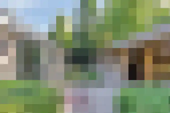 Tilgrupweg 16 Oude Willem thumbnail 20