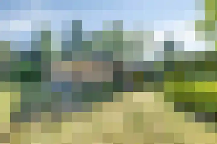Tilgrupweg 16 Oude Willem thumbnail 22