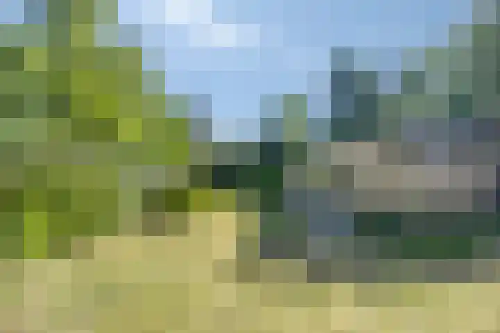 Tilgrupweg 16 Oude Willem thumbnail 23