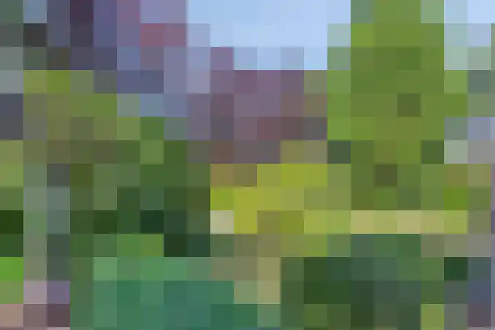 Tilgrupweg 16 Oude Willem thumbnail 26