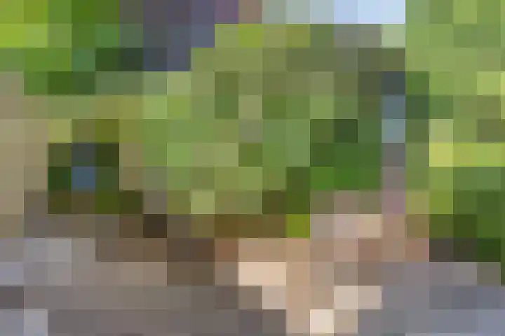 Tilgrupweg 16 Oude Willem thumbnail 27