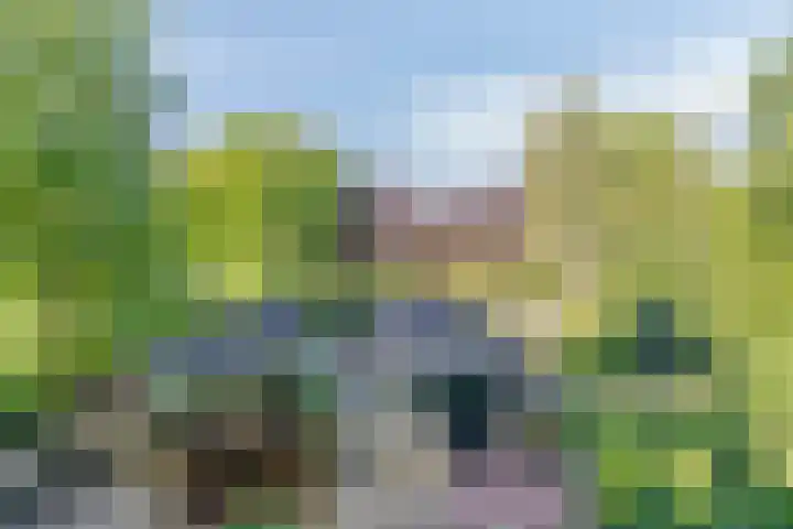 Tilgrupweg 16 Oude Willem thumbnail 28