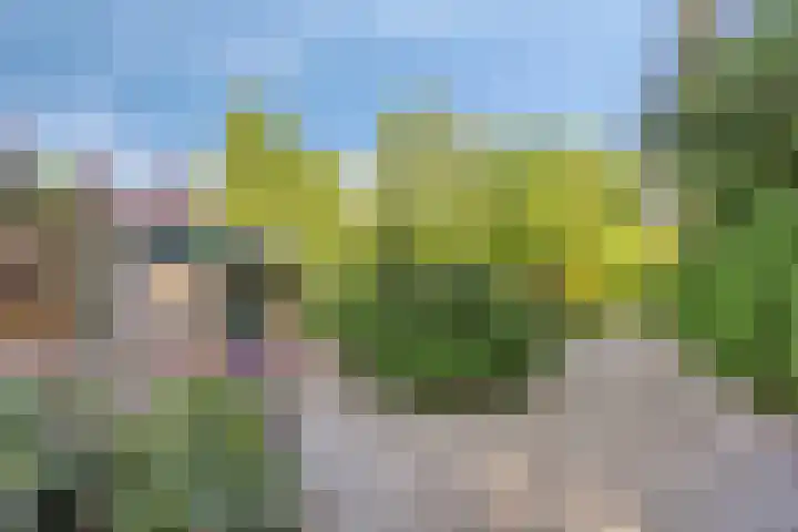 Tilgrupweg 16 Oude Willem thumbnail 30