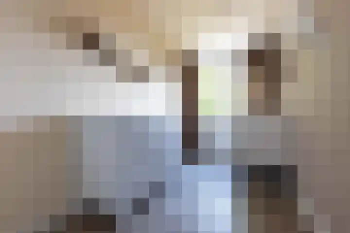 Tilligtebrink 18 Enschede thumbnail 20