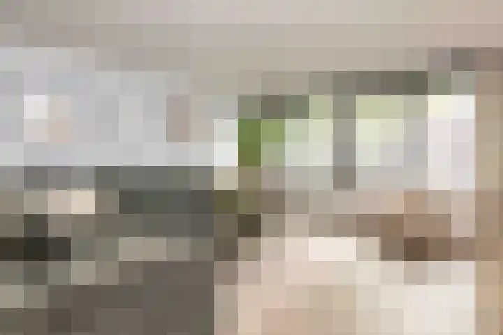 Tilligtebrink 18 Enschede thumbnail 7