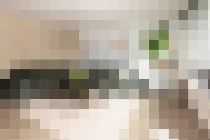 Tilligtebrink 18 Enschede thumbnail 8