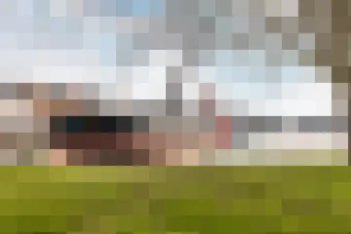 Timmer Werf 51 Hellevoetsluis thumbnail 28
