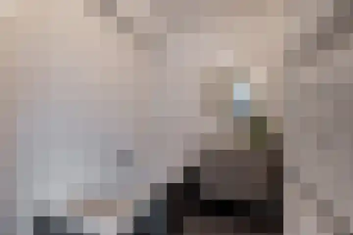 Timmerliedengilde 58 Dronten thumbnail 22