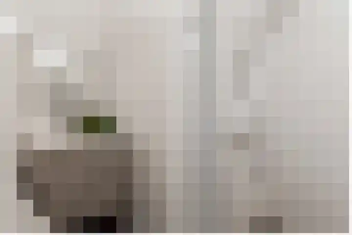 Timmerliedengilde 58 Dronten thumbnail 23