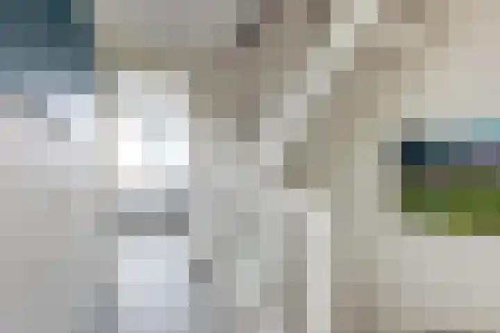 Timmerliedengilde 58 Dronten thumbnail 24