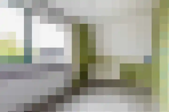 Timmerliedengilde 58 Dronten thumbnail 25