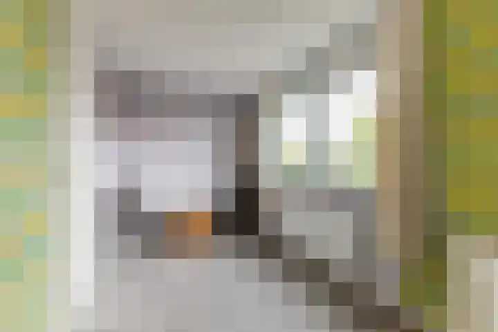 Timmerliedengilde 58 Dronten thumbnail 26