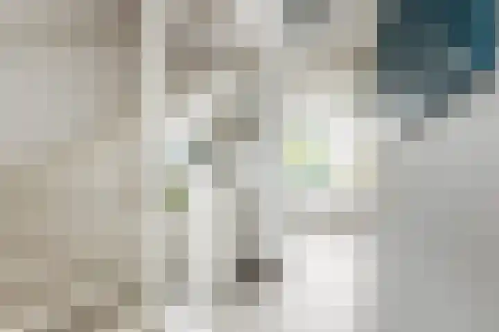 Timmerliedengilde 58 Dronten thumbnail 28