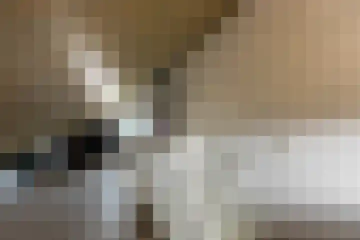 Timmerliedengilde 58 Dronten thumbnail 32