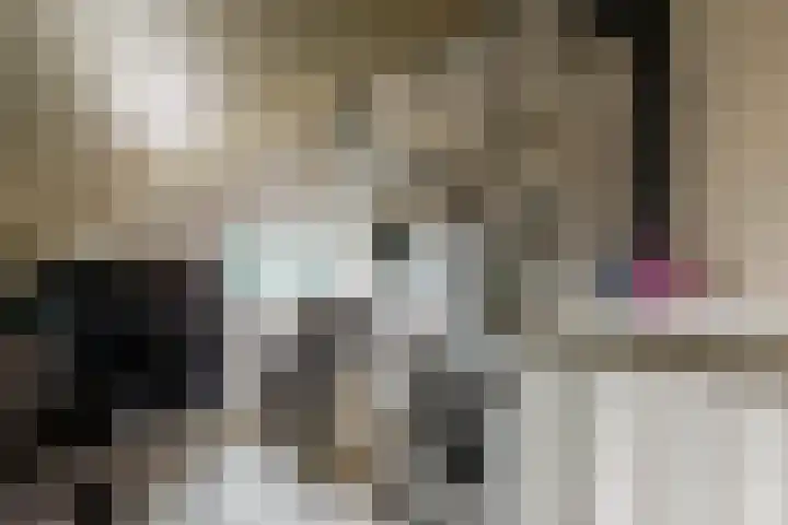 Timmerliedengilde 58 Dronten thumbnail 33