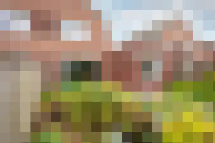 Timmerliedengilde 58 Dronten thumbnail 36