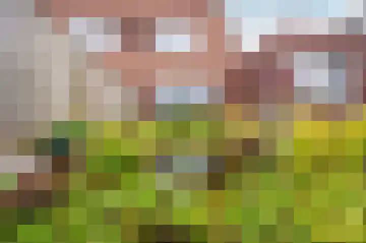 Timmerliedengilde 58 Dronten thumbnail 39